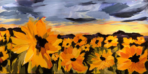 0496:  Field of Sunflowers