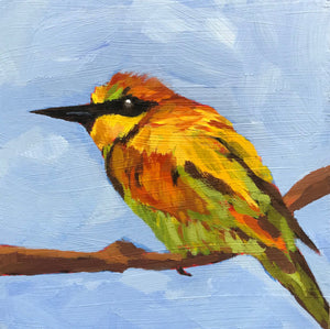 0505:  Bee-eater Bird