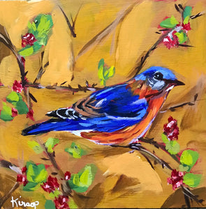0533:  Bluebird For Julie
